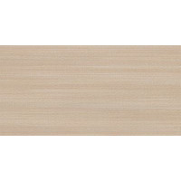 Керамический гранит SP.Sand 30x60LN Керамический гранит SP.Sand 30x60LN