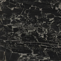 Керамогранит TAU PANTHER BLACK 120X120